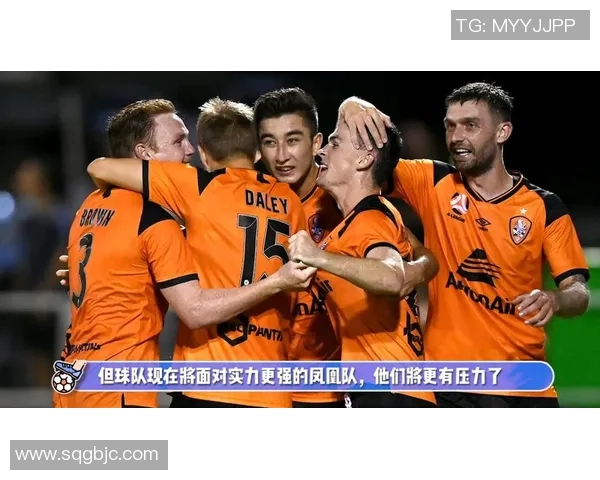 惠灵顿凤凰迎战布里斯班狮吼期待精彩对决与激烈碰撞